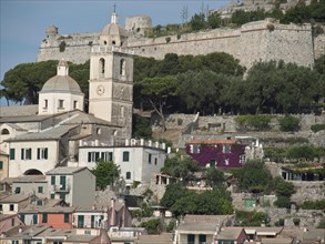 A mountain village with a church and a fortress, surrounded by colourful houses and trees, Bari,
