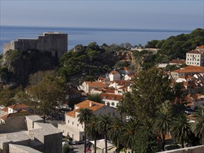 View of a historic coastal town with tiled roofs, palm trees and a fortress by the sea, the old