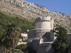 Massive medieval fortress with a national flag on a hill surrounded by trees, the old town of