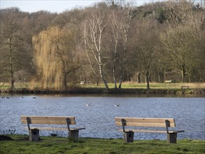 Two wooden benches stand on the shore of a lake, surrounded by wintry trees and a peaceful