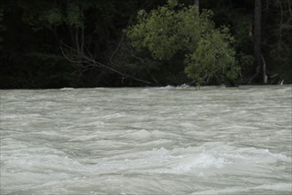Force of nature, river, flood, high water, turbid, Isar, Bad Toelz, Bavaria, Germany, Europe