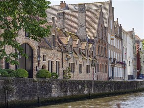 Historic buildings on the canal with decorative gables and green trees, historic city on the river