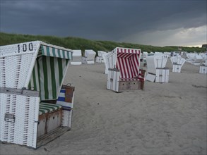 Many beach chairs stand on the sandy beach under an oppressively cloudy sky near the dunes, the