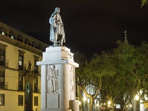 Illuminated statue in front of historical buildings and trees in a nocturnal scenery, Madeira,