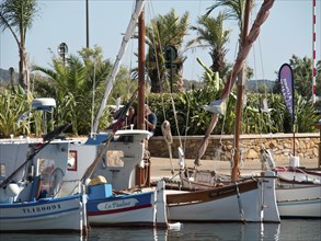 Sailboats moored on a jetty, surrounded by palm trees and maritime surroundings, la seyne sur mer,