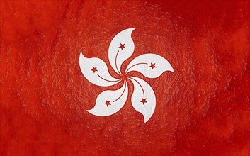 The Hong Kong flag features a white stylized orchid flower with five stars on a red background with