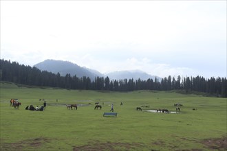 Horses and people in an expansive green meadow with mountains and forest in the background under an