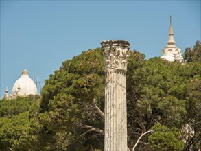 A historic column stands in front of trees and towers under clear weather, Tunis in Africa with