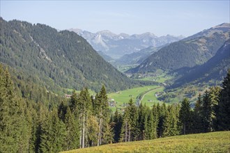 View of the valley with mountains and villages, surrounded by meadows and forests in summer,