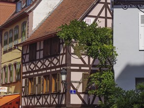 Historic half-timbered houses with floral decorations in Alsace, Wissembourg, France, Europe