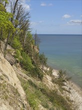 Steep cliffs with trees and green leaves offering a breathtaking view of the coast and the sea,
