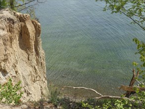 Cliff overlooking the calm sea and surrounded by green trees, spring on the Polish Baltic Sea coast