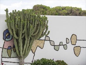 Large cactus in front of a white painted wall with murals and garden plants, Lanzarote, Spain,