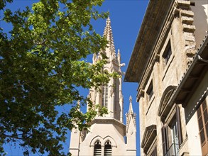 Gothic church tower rises against a clear blue sky behind trees, palma de Majorca with its historic