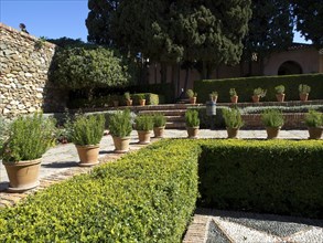 A well-kept garden area with flower pots and trimmed hedges, sunny atmosphere, the historic
