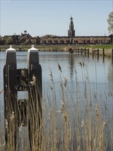 Reeds at the edge of a body of water with a view of a town and its striking tower, Enkhuizen,