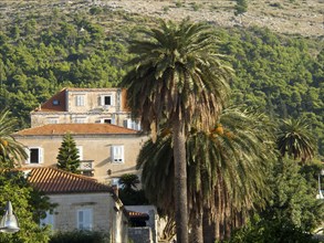 Old buildings embedded in lush Mediterranean vegetation with palm trees and green mountains in the