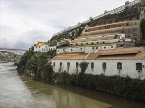 White-painted buildings and terraces on a green hill on the riverbank, The old town of Porto on the