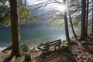 Landscape of a sitting accommodation beside a lake (Langbathsee) in autumn, Austria, Europe