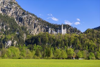 Neuschwanstein Castle in spring, Schwangau, Ostallgaeu, Allgaeu, Swabia, Upper Bavaria, Bavaria,