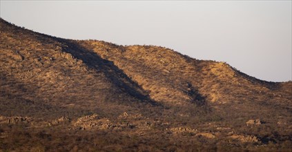 Barren landscape with rocky hills and acacias, African savannah at sunset, Hobatere Concession,