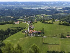 Hilly landscape, vineyards, view from the Demmerkogel lookout point, St. Andrae-Hoech, Sausal wine