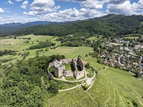 Aerial view of Staufen Castle, on a vineyard, Schlossberg, Staufen im Breisgau, Markgraeflerland,
