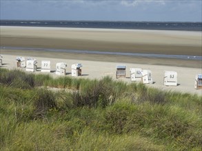 Beach chairs in the distance on the beach, surrounded by dunes and grass, Spiekeroog, Germany,