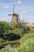 Windmill, surrounded by green nature and flowers, under a blue, slightly cloudy sky, windmills of