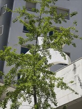 A modern building complex, partially hidden by green trees, under a sunny sky, Lisbon, Portugal,