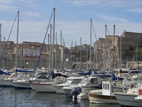 A marina full of boats with buildings and a hill behind it, Marseille on the Mediterranean Sea with