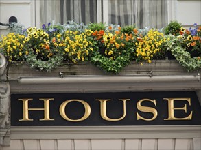 A richly decorated windowsill with colourful flowers above a sign with the inscription 'House',
