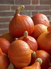 Several orange-red pumpkins are shown stacked close together in front of a brick wall, many