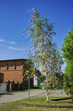 Maypole in petrol, Kritzow, Mecklenburg-Vorpommern, Germany, Europe