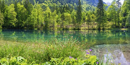 Christlessee, a mountain lake in the Trettachtal valley, near Oberstdorf, Oberallgaeu, Allgaeu,