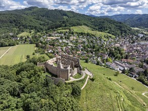 Aerial view of Staufen Castle, on a vineyard, Schlossberg, Staufen im Breisgau, Markgraeflerland,