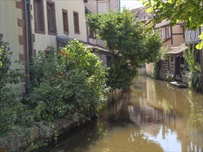 Cosy canal with half-timbered houses and lush vegetation on a sunny day, historic house fronts and