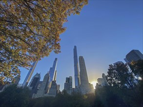 Autumn leaves in central park at sunset with the silhouette of skyscrapers in the background, the