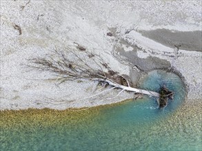Top Down over Vjosa River National Park from a drone, Wild River, Albania, Europe