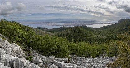 View of the island of Pag, Zadar, Dalmatia, Croatia, Europe