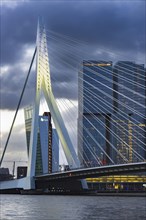 Nieuwe Maas with Erasmus Bridge and skyscrapers, Rotterdam, South Holland, Netherlands