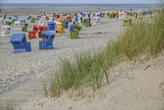 Colourful beach chairs on the beach with dunes in the foreground, everyone enjoying the view of the