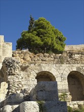 Historical ruins with arches and green trees under blue sky, Ancient buildings with columns and