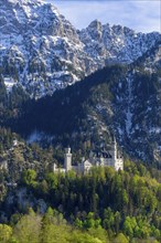 Neuschwanstein Castle in spring, Schwangau, Ostallgaeu, Allgaeu, Swabia, Upper Bavaria, Bavaria,