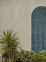 An ornate blue lattice door next to a plant in front of a plain beige wall, Tunis in Africa with