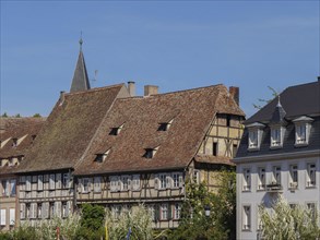 Historic half-timbered buildings with plants in the foreground under a clear blue sky, historic