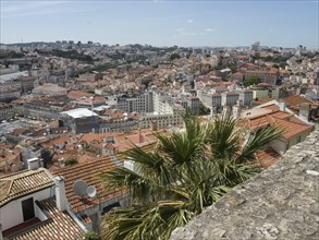 Wide view over the city with many roofs and palm trees under a slightly cloudy sky, view of the old