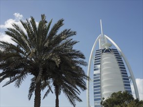 Burj Al Arab, a modern landmark, in front of a blue sky with a palm tree in the foreground, Dubai,