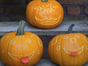 Three carved Halloween pumpkins with funny faces on a wooden shelf, orange pumpkins on straw bales