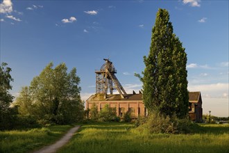 Gneisenau neighbourhood park with machine hall and Tomson-buck, Dortmund, Ruhr area, North